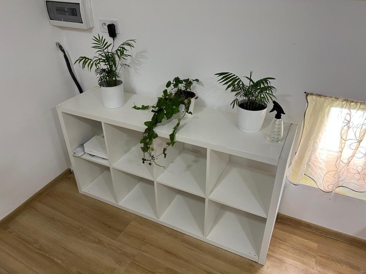 Green Apartment - Free Parking 카토비체 외부 사진